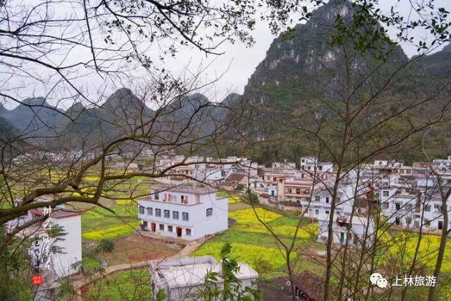 上林旅游打卡地,上林游玩景点推荐