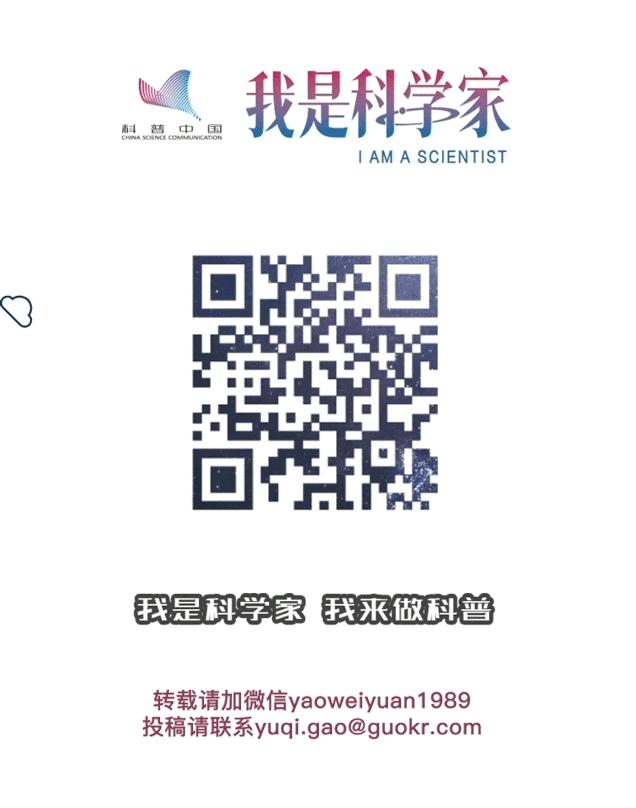 蟑螂喜欢酒精,蟑螂喜欢喝酒