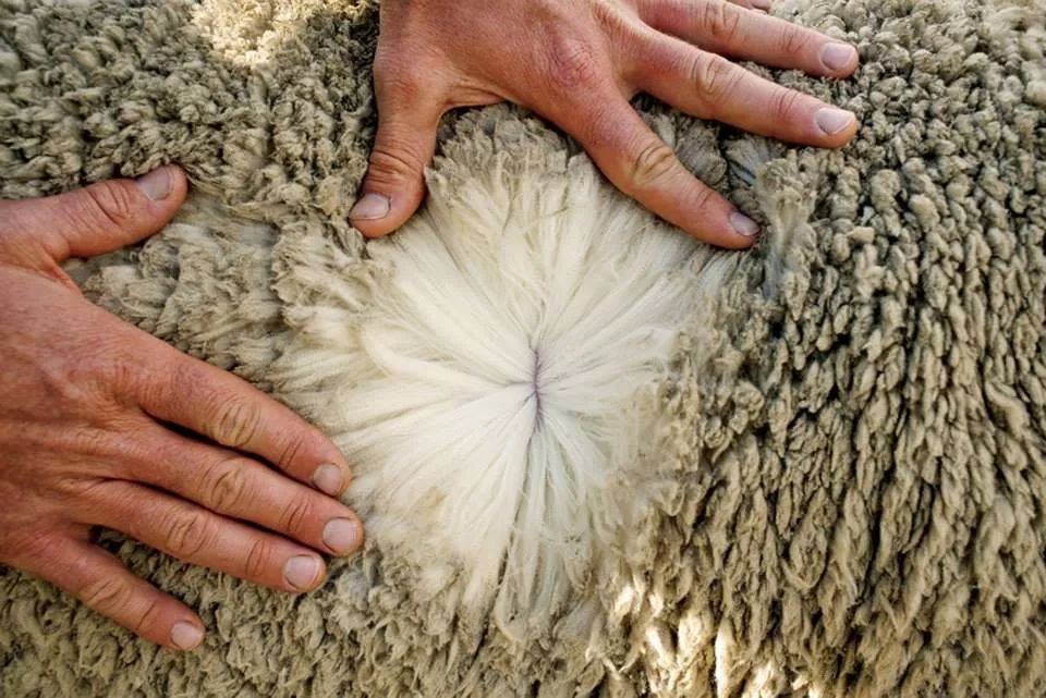 航空公司为什么会免费升舱,哪个航空公司免费升舱最便宜