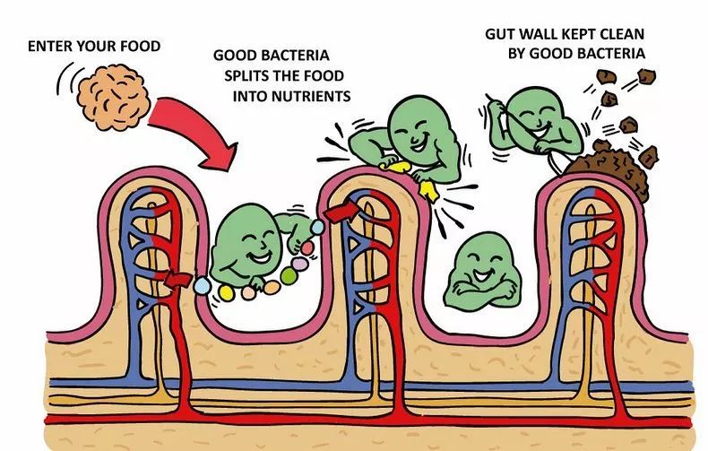 霹雳人妻高情商护夫，稳固地位全靠一身正“气”
