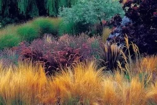 歌曲离离原上草,离离原上草古诗