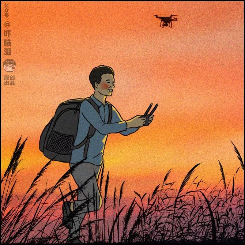 网络迷惑人行为大赏,全网有钱人类迷惑行为大赏