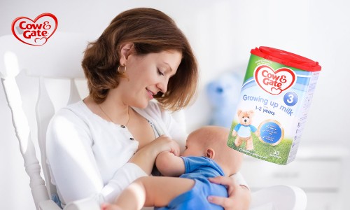 中老年奶粉十大放心奶粉品牌喜宝,驼奶粉哪个品牌是正品内蒙驼奶粉