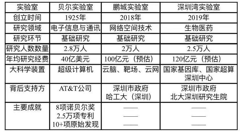 你为什么错过深圳湾,错过深圳