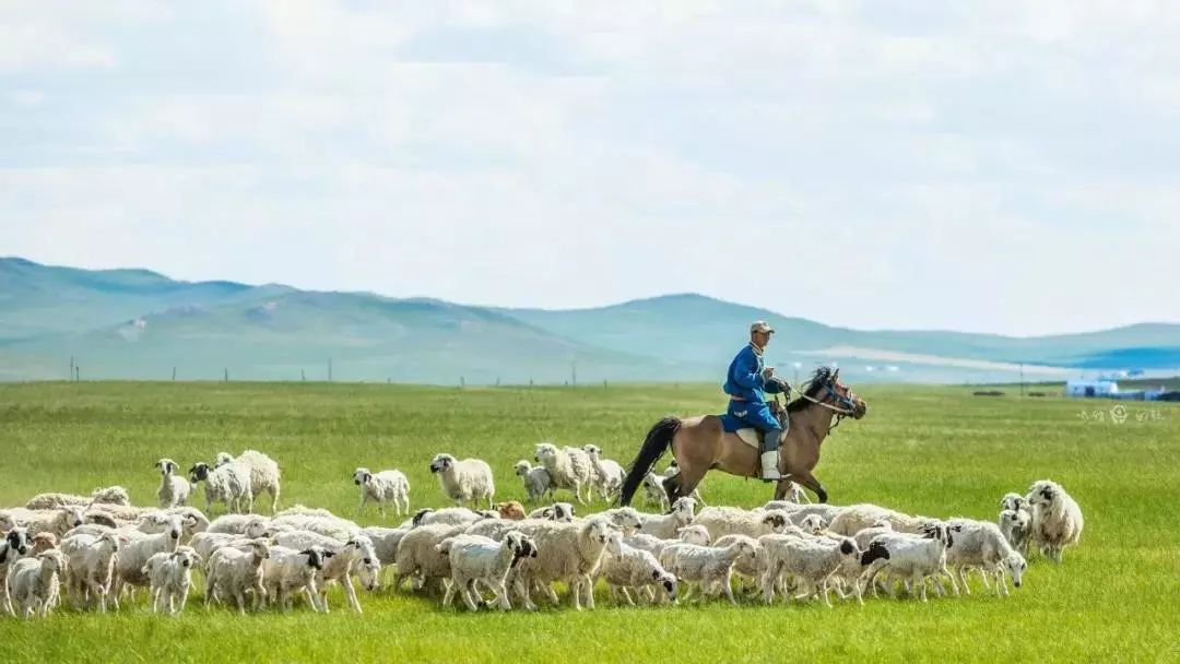 科尔沁传奇,科尔沁大草原的传奇