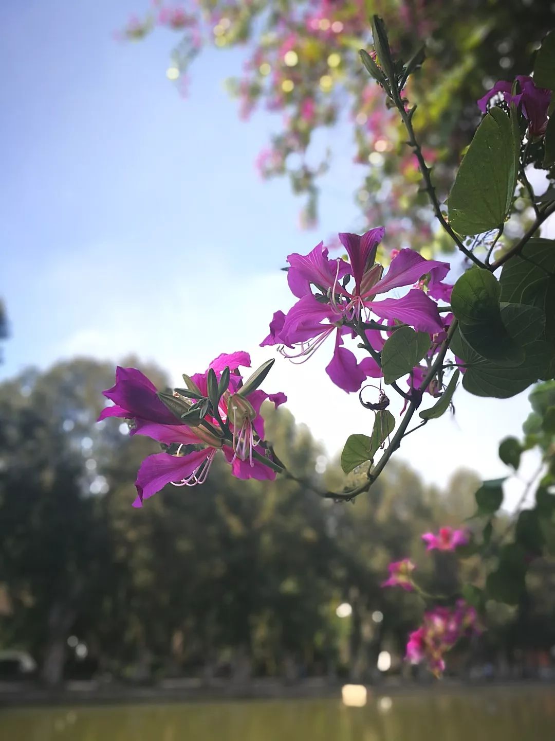 多做害怕的事不害怕,宁婆婆