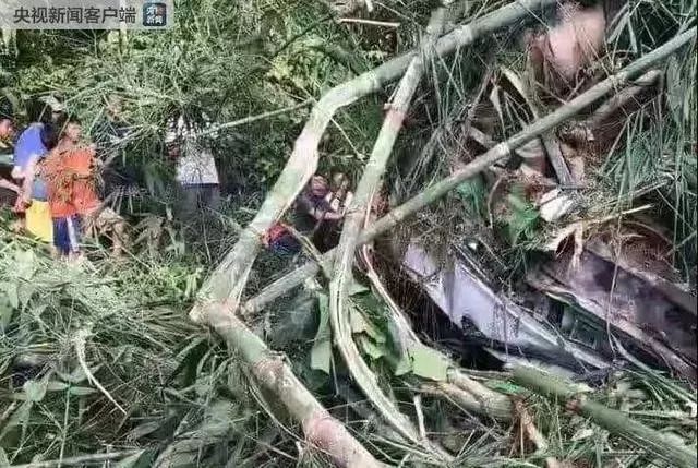 全国统一查询接种疫苗记录平台,疫苗查询全国统一平台