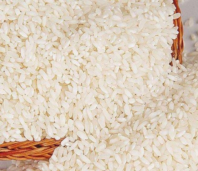 大米生虫了怎么处理才能吃,夏天大米加工厂怎么预防大米生虫