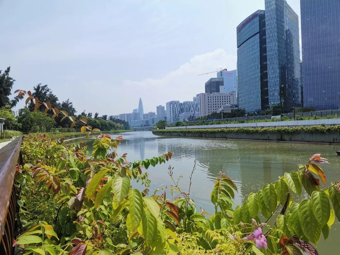 深圳最美塞纳河图片,深圳塞纳河最美景观河