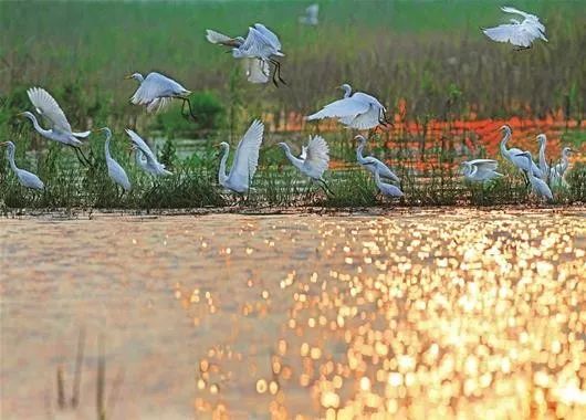 一图速览宜昌70年巨变！看完心潮澎湃