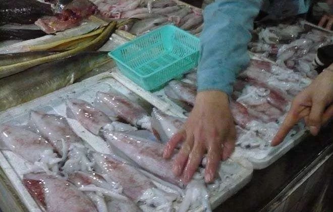 香港tvb经典打卡,香港湛江海鲜