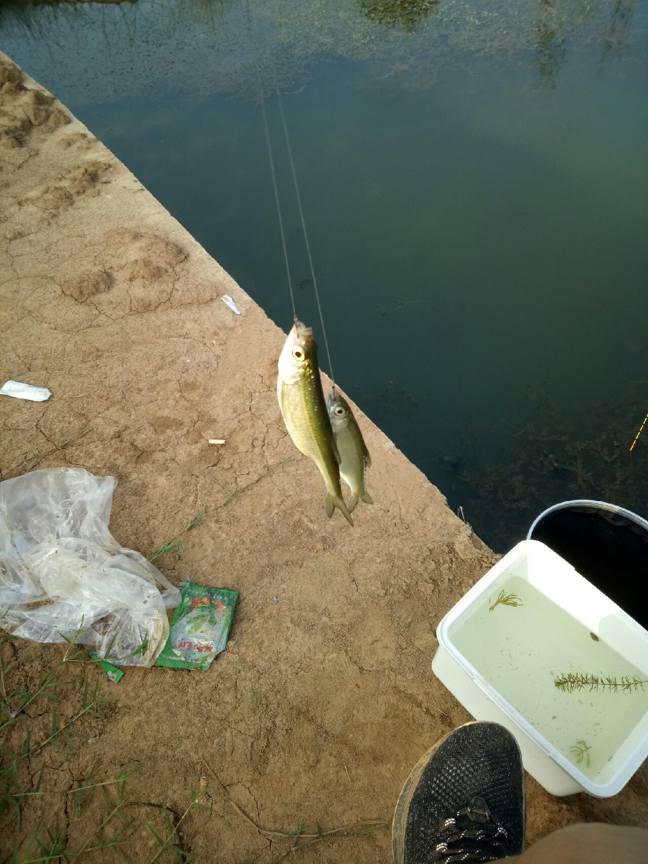 钓鱼人818攻略,钓鱼人开饵料