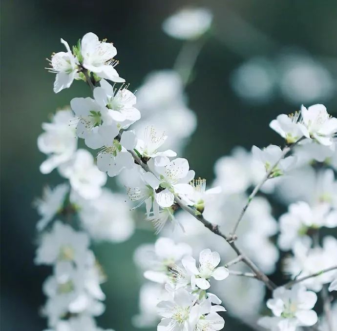 二年级摘抄排比句100条,排比句气势如虹