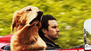 如果喜欢《我们这一天》，一定要看这部电影《我在雨中等你》米洛·文堤米利亚专访