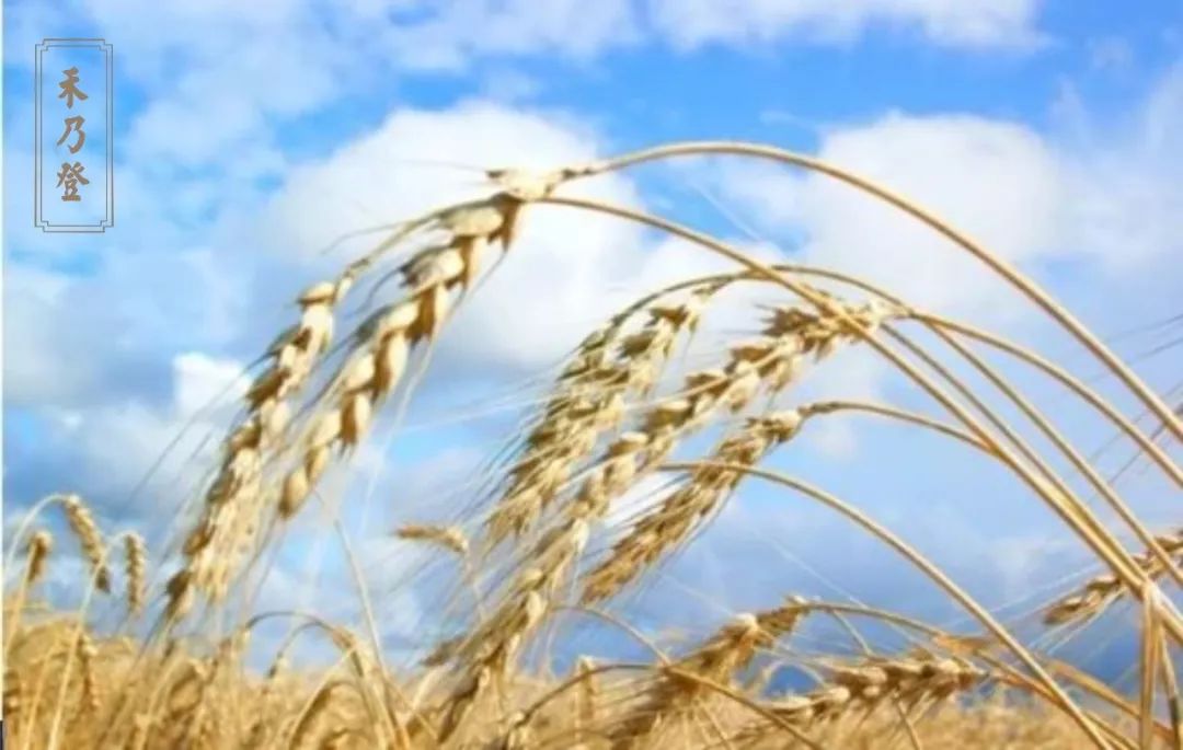 今日处暑：天高云淡日，一年最好时