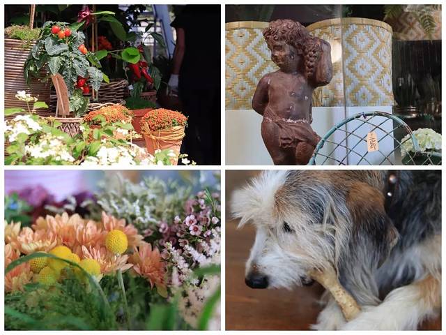 在德国自驾攻略,德国自驾攻略注意事项是什么