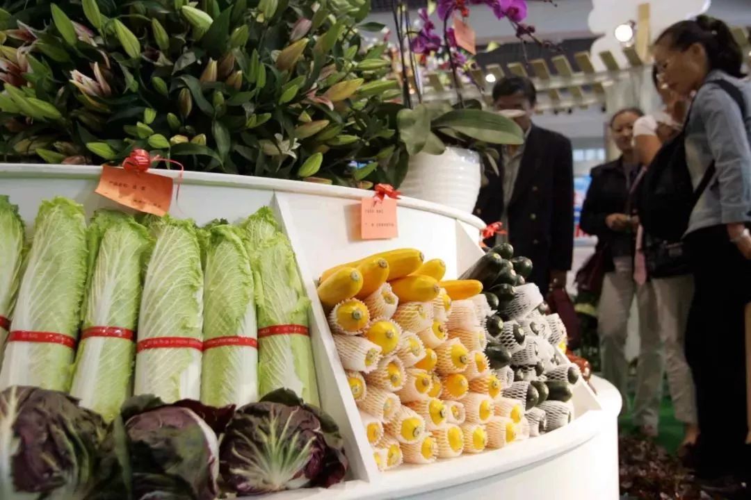 玉溪经典珍品,云南玉溪有哪些品牌