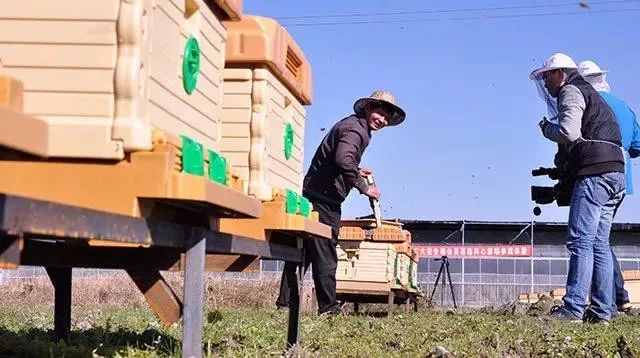 通过改变营销战术让产品大卖,教你产品怎样营销出去