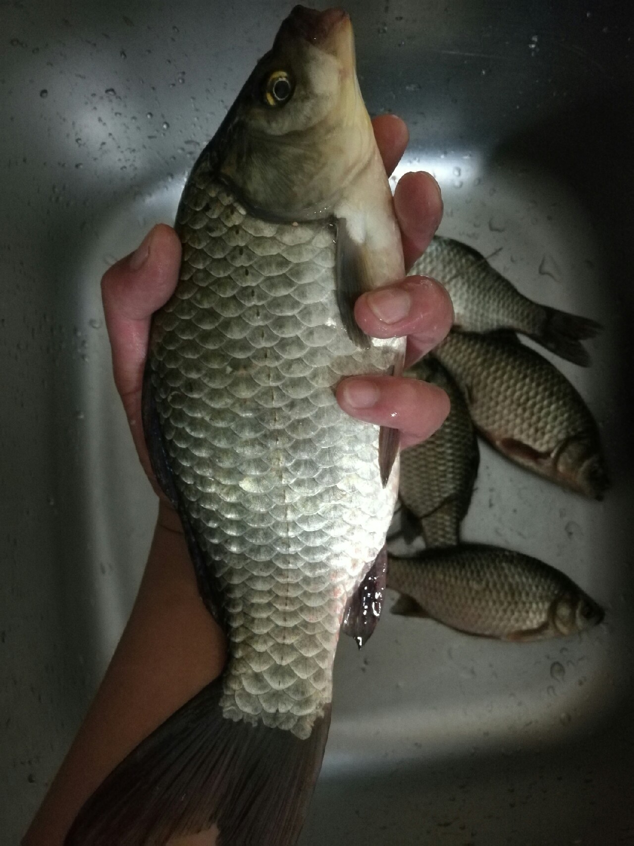 钓鱼爆护口诀100句,为钓鱼付出过哪些努力