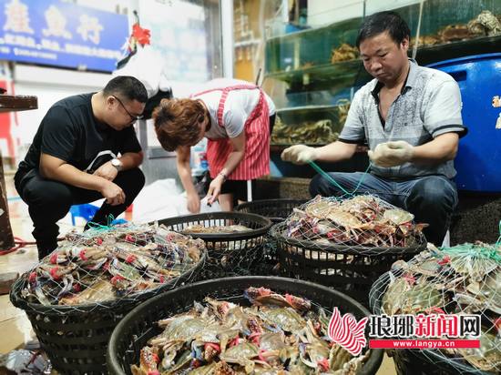 梭子蟹丰收上市,临沂梭子蟹