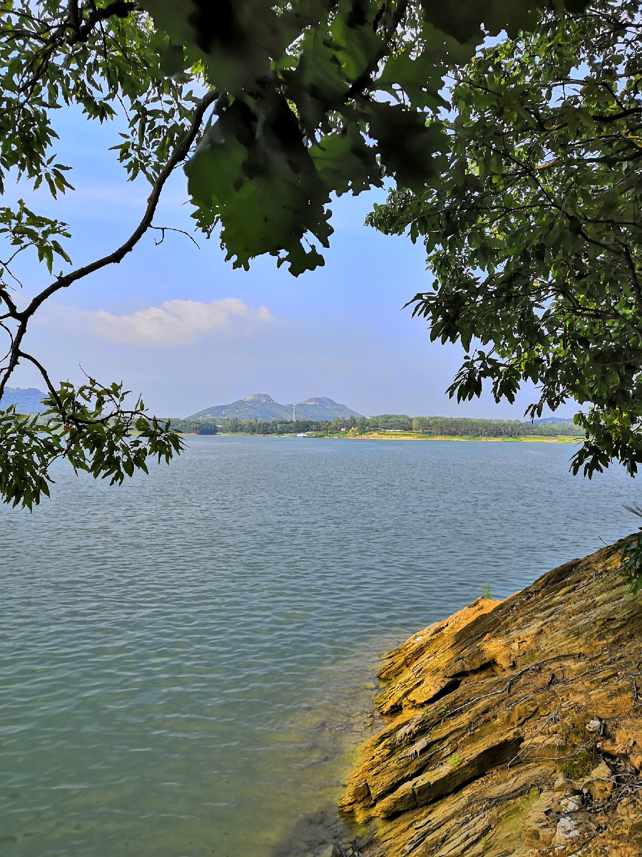花钱钓鱼鱼可以拿回去吗,钓鱼珍惜资源才是王道