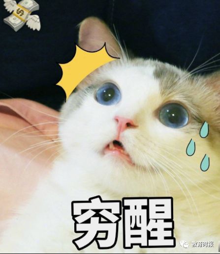 开学季费钱时段,开学季装备大全