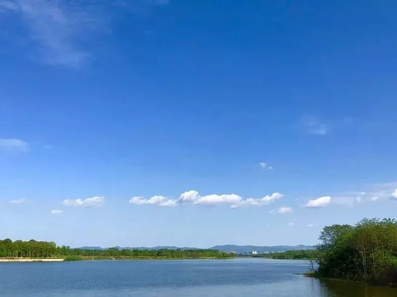 回归大自然呼吸天然氧吧,回归大自然清新空气