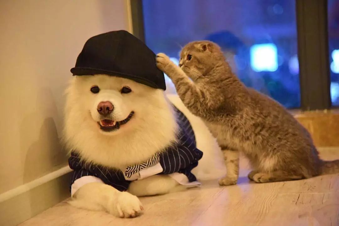 从安妮宝贝到庆山视频,从安妮宝贝到庆山银镯