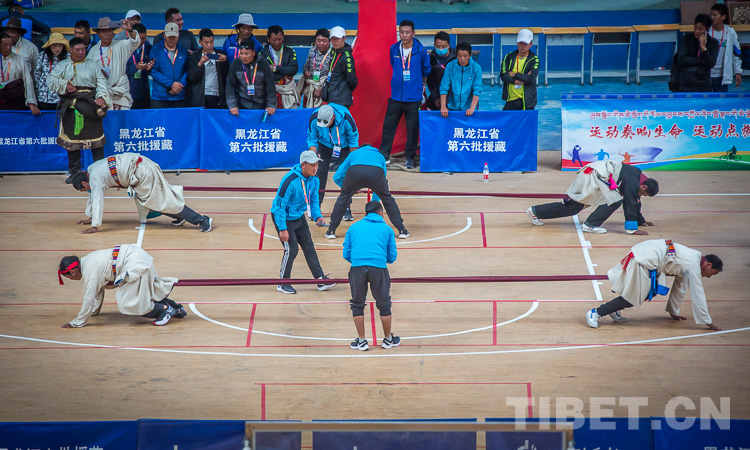 从登山运动到全民健身，看*藏西**体育事业发展