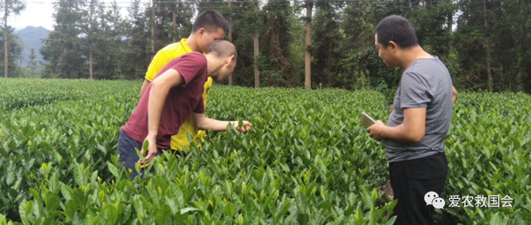 宀╄尪鍒惰尪鏁欏,鍒惰尪宸ヨ壓涓庤尪鏂囧寲