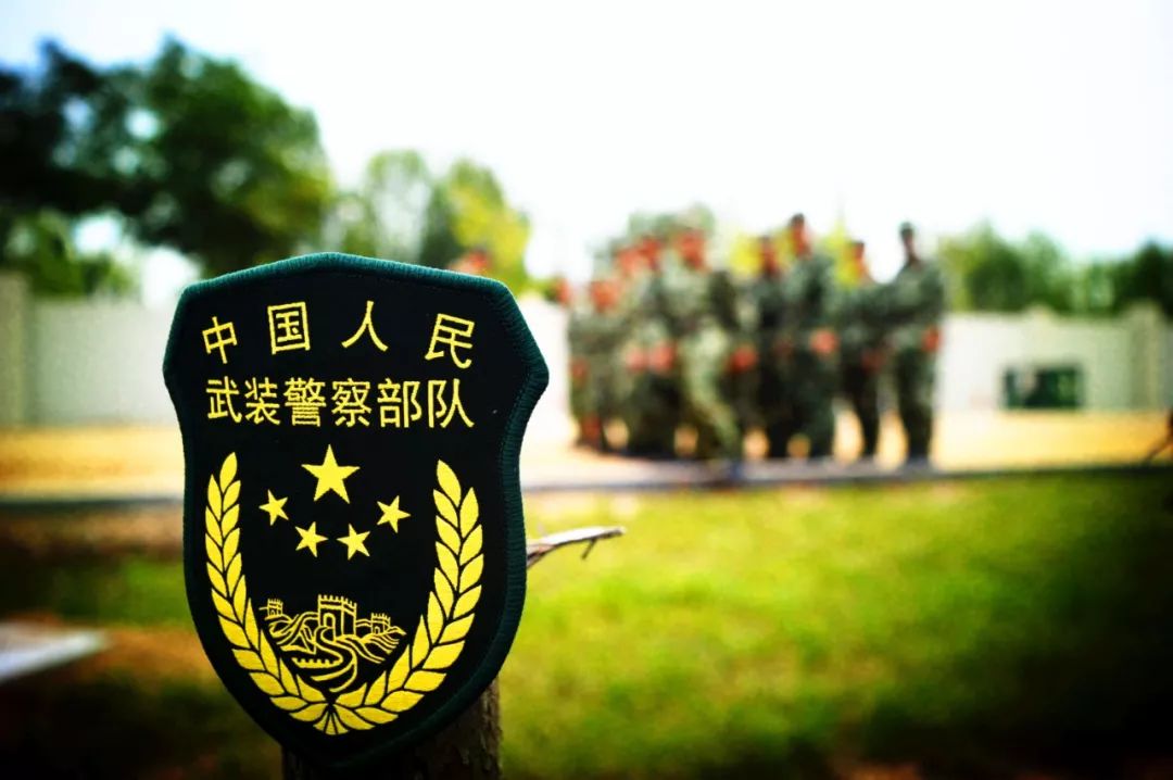 @退伍老兵，这里有一份退役安置大礼包，请查收！