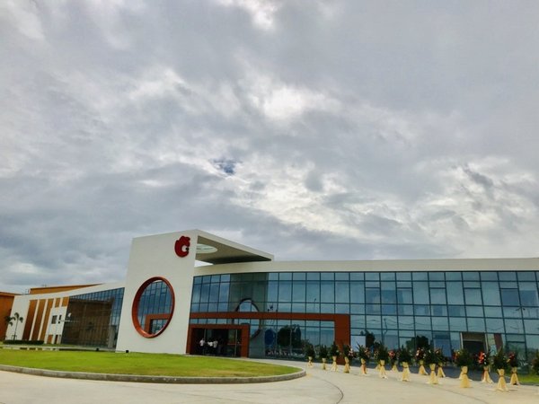 洽洽坚果销量,洽洽跨界业绩