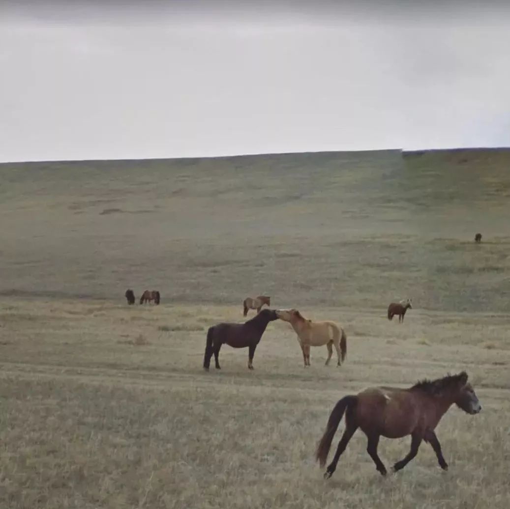 老公知道你的秘密他会怎么样,我的秘密他知道