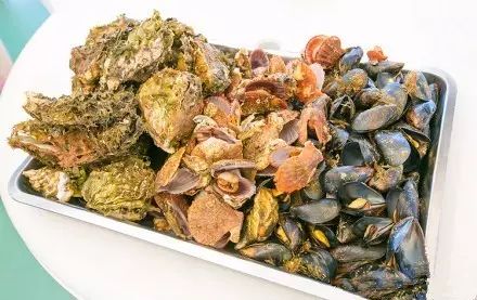 大连开海后的海鲜,开海了吃海鲜去哪个码头最便宜