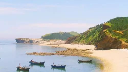 大连开海后的海鲜,开海了吃海鲜去哪个码头最便宜