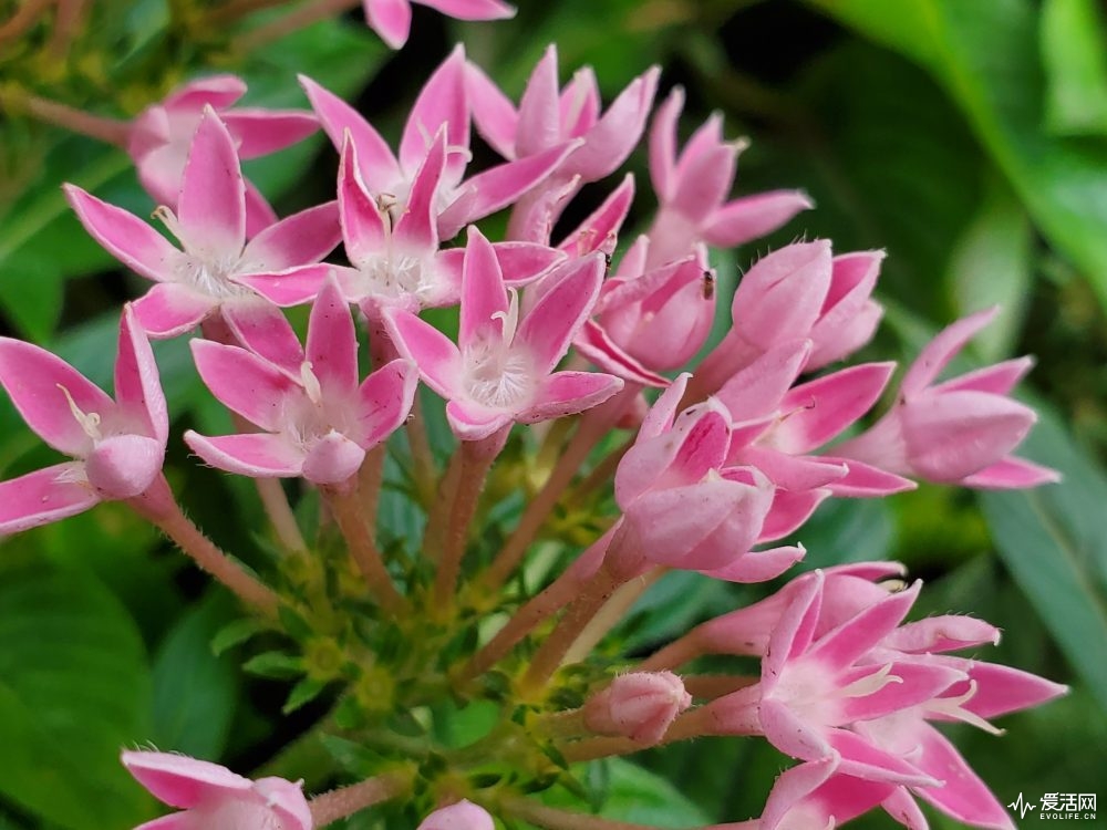 galaxynote10缺点,三星galaxynote10+国际版测评