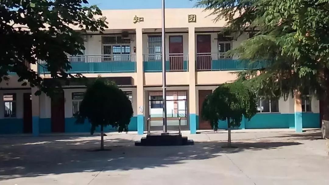 开学啦撒贝宁,开学啦手势舞完整版3分钟