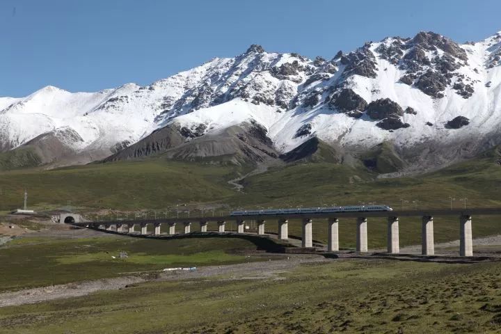 国资小新回答了知乎创始人周源一个问题，网友评论亮了！