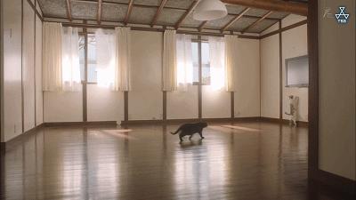 这部“变态”日剧,早该让我妈看了...