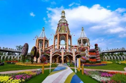 今年上海浦江郊野公园有花展吗,浦江郊野公园奇迹花展