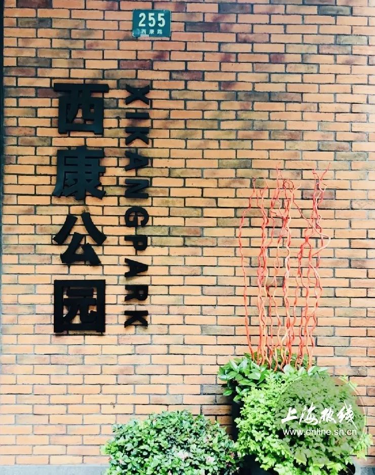 TA藏在静安,可能是市中心最袖珍公园,重温老上海的儿时记忆