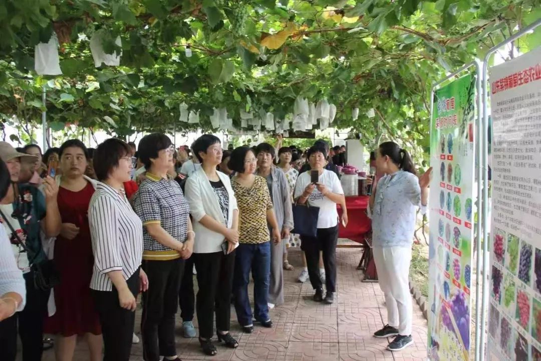 巾帼致富带头人脱贫培训班,乡村振兴巾帼行动女致富带头人