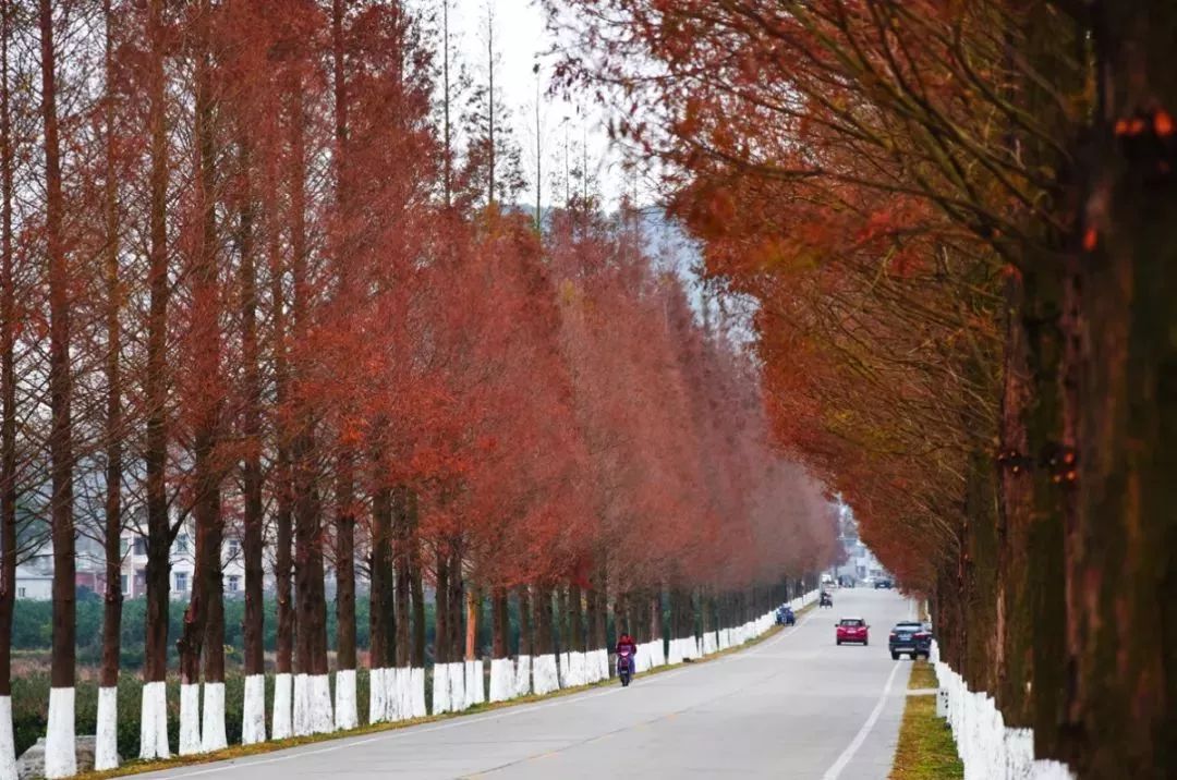 70年巨变短视频,70年巨变