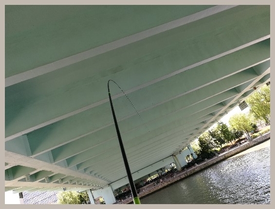 结伴同行首钓新城市高温也丰收