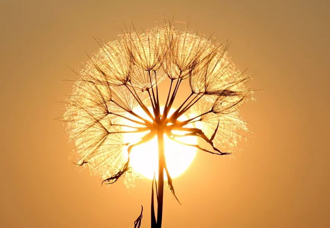 picc置管术儿童全过程,留置picc管可能出现的护理问题