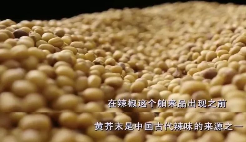 舶来品是真的吗,海外舶来品