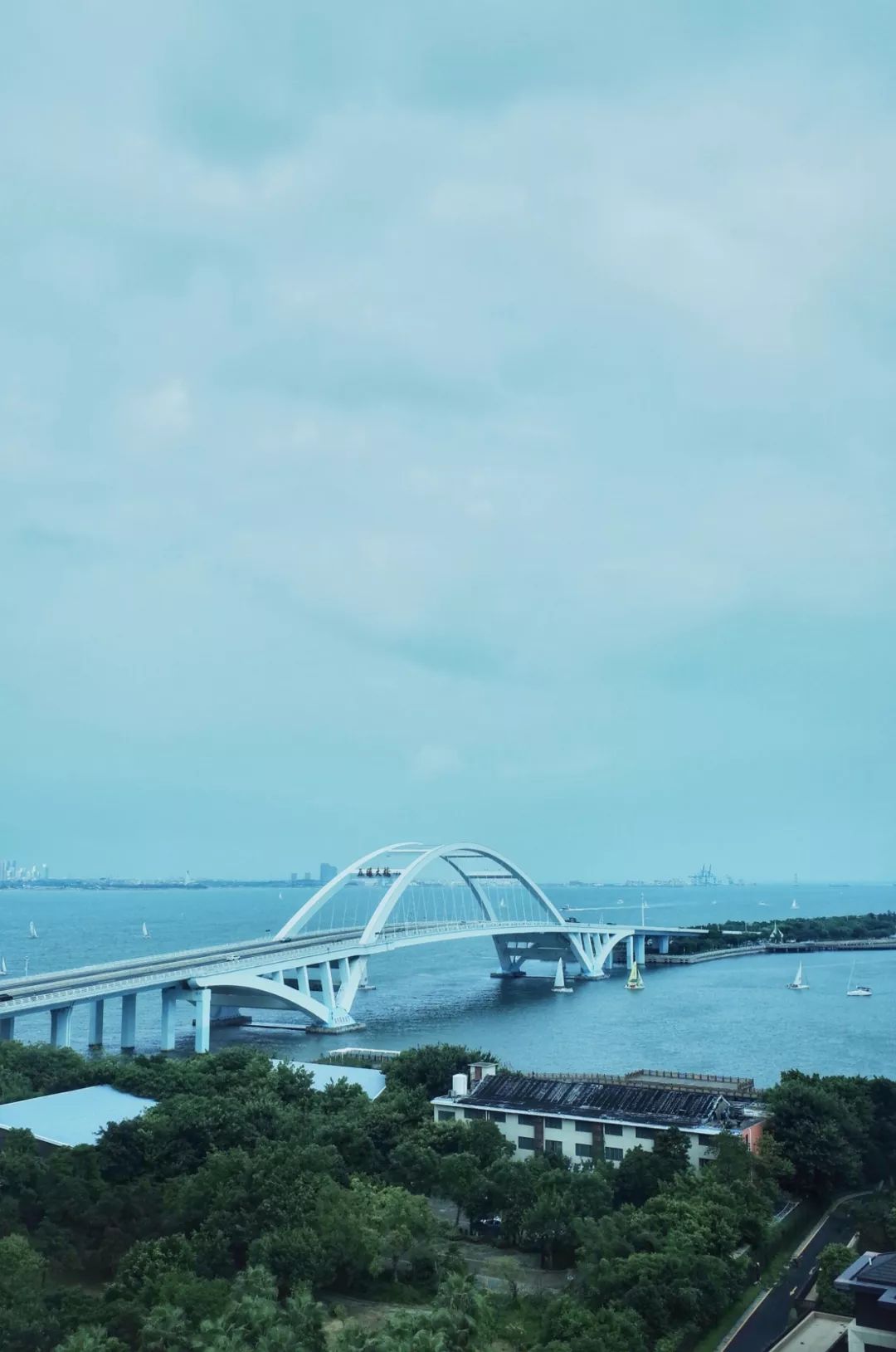 拔草厦门,厦门帆船酒店观景
