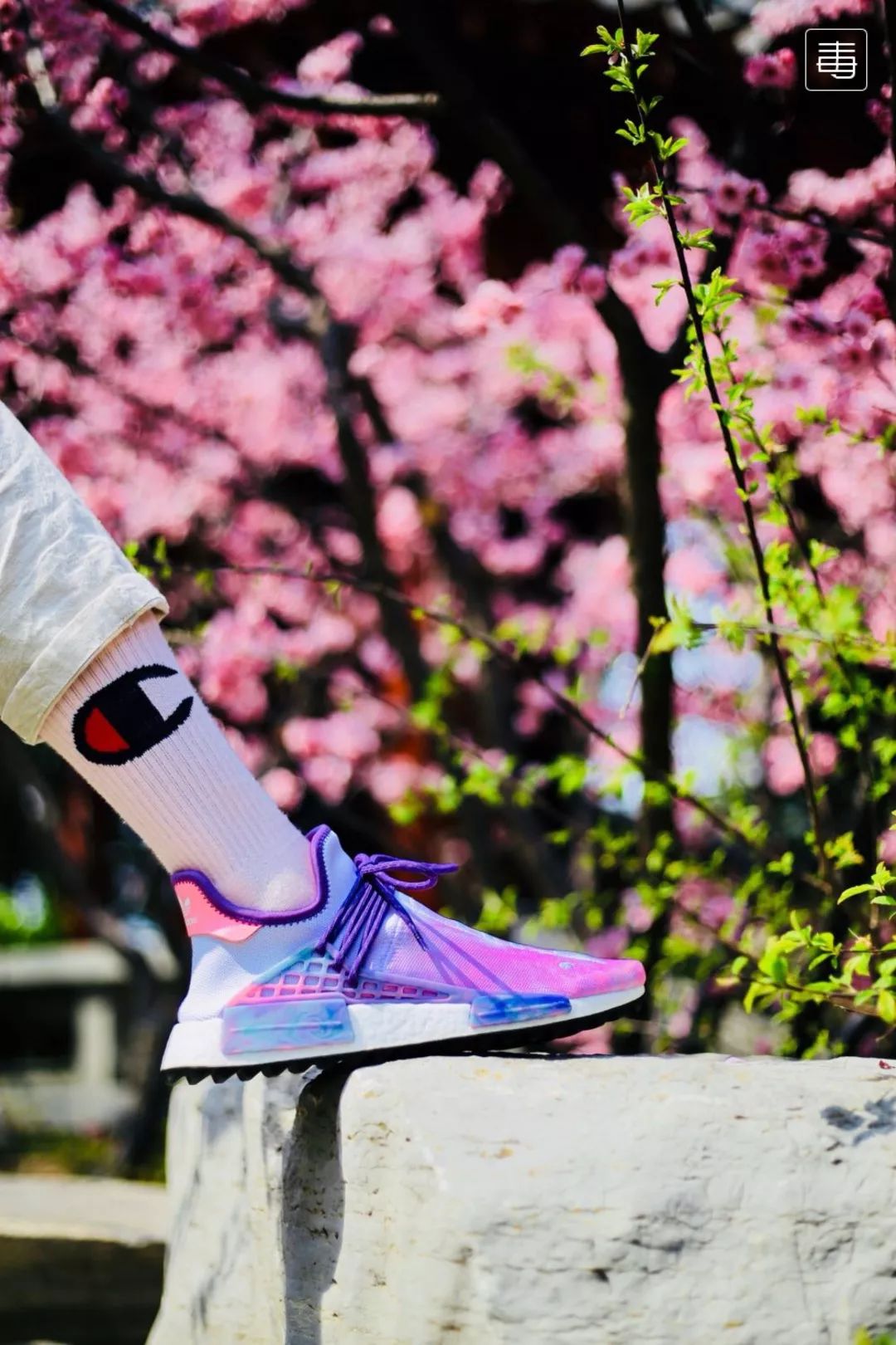 yeezy三方联名,yeezy联名款有哪些