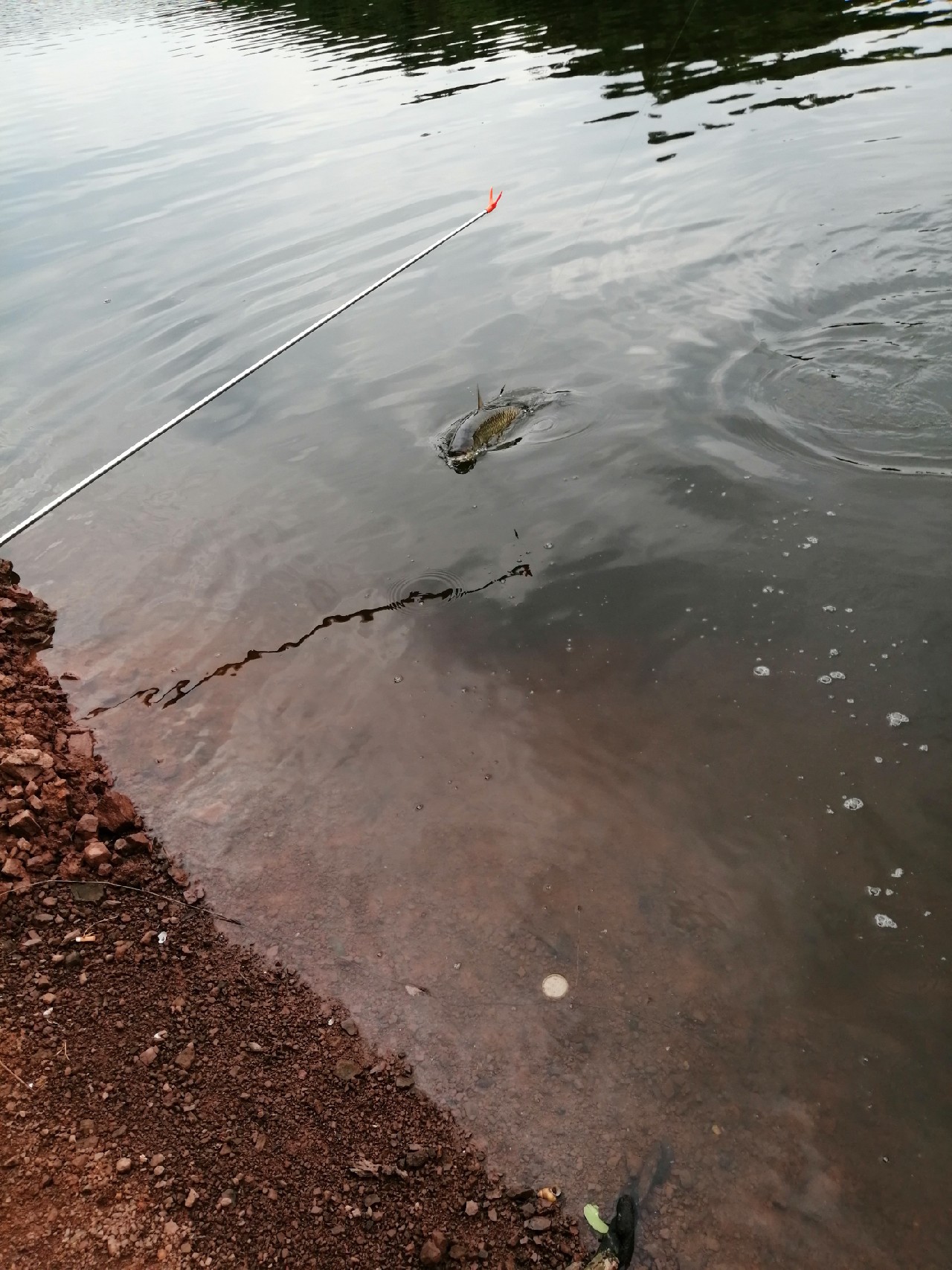 别人对你说钓鱼是什么意思,对于钓鱼各位钓友有什么看法
