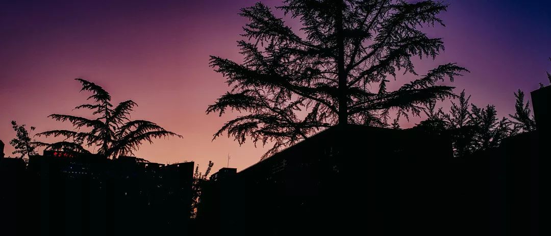 新生入学指南项目怎么样,新生入学指南要不要做